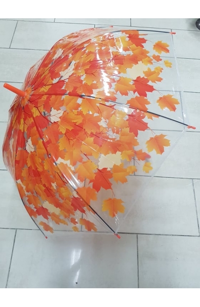 Dáždnik jesenné lístie priesvitný