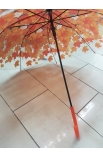 Dáždnik jesenné lístie priesvitný