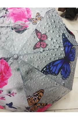 Dáždnik motýle